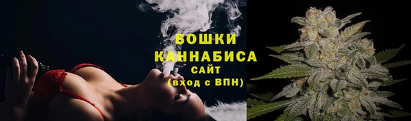 трава Мегион