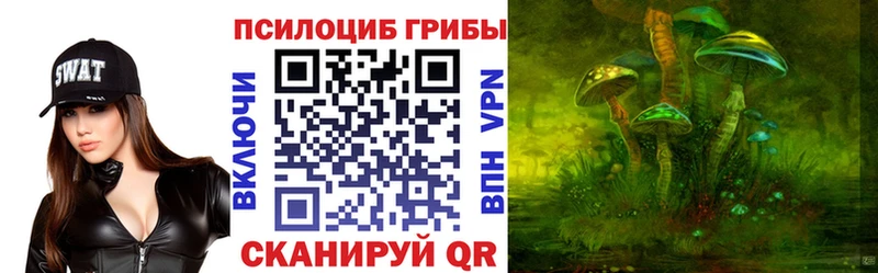Псилоцибиновые грибы Cubensis omg tor Первоуральск где можно купить