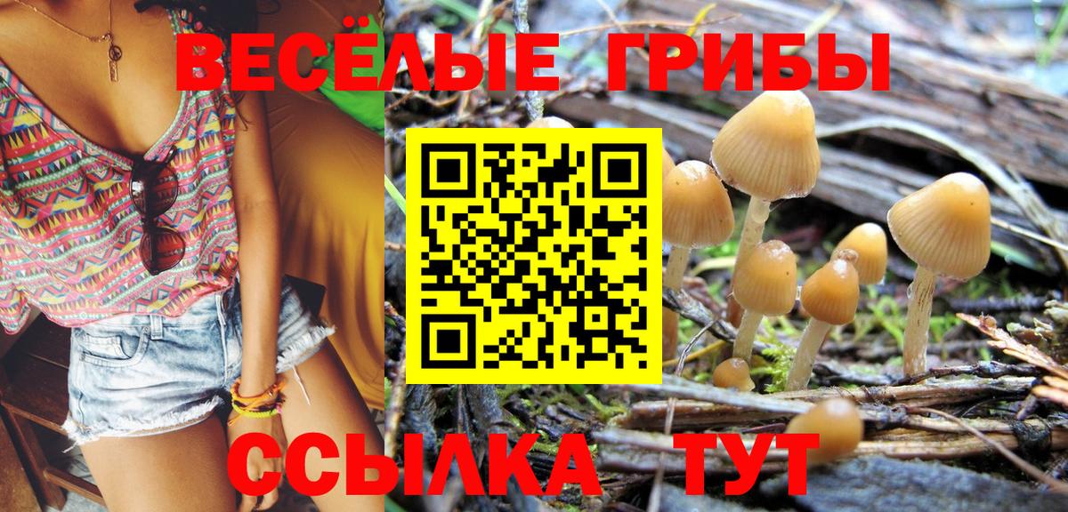 Первоуральск  Галлюциногенные грибы ЛСД  Вход с VPN 